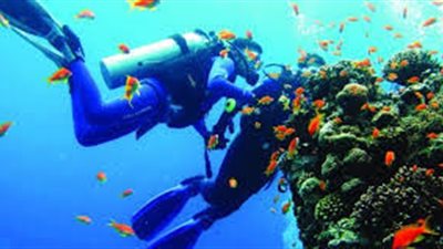 السبت.. بدء الدورات التدريبية البيئية لأطقم يخوت السفارى بالغردقة