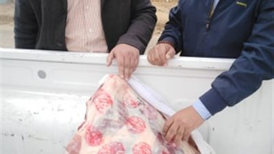 الرقابة والطب البيطري يشنان حملة مكبرة على مجازر الإسماعيلية