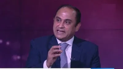 خبير يكشف أهمية إنشاء قوة إفريقية لمكافحة الإرهاب بالقارة