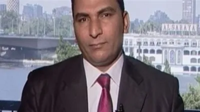 باحث في الشأن التركي: أردوغان لا يريد معارضة سياسية في بلاده