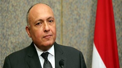 وزير الخارجية: القوة الإفريقية ستكون أقرب إلى قوات الانتشار السريع