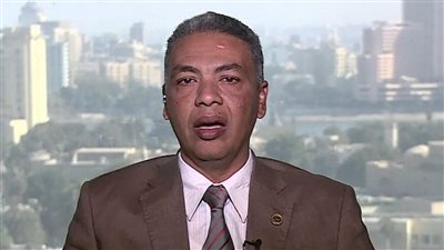 خبير استراتيجي: فرص إنشاء قوة أفريقية أكبر من 