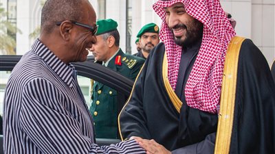 ولي العهد يلتقي رئيس وزراء غينيا بالرياض (صور)