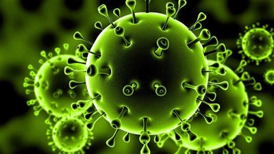 المستشار الطبي الأول للصين: فيروس كورونا قد ينتهي قريبا