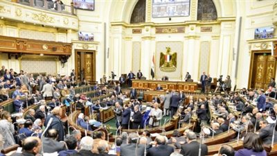 البرلمان ينتصر للفلاح والمرضى.. المجلس يرفض قرار زيادة سعر توريد القصب.. ولجنة الصحة تثور على عيادات التأمين