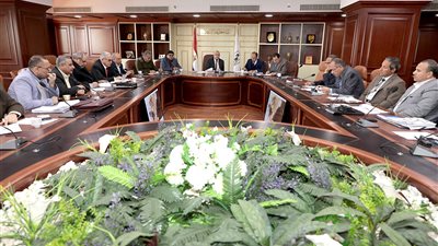 الموافقة على 22 طلب تقنين أراضٍ في بني سويف 