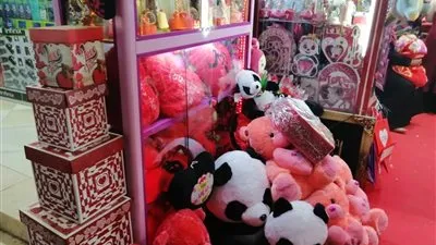 كتابة قصص العشاق.. مظاهر الاحتفال بعيد الحب في المنيا (صور)