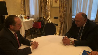 وزير الخارجية: ننسق مع النمسا في مجال مكافحة الهجرة غير الشرعية