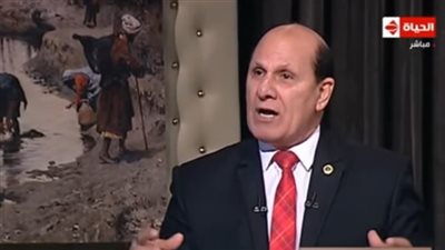 جامعة الدول العربية: التنظيمات الإرهابية لم ترفع رايتها على شبر واحد بمصر