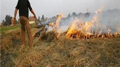 كوارث حرق مخلفات القصب 