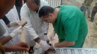 قوافل جامعة القناة تعالج 655 حالة بيطرية بالمجان في الإسماعيلية
