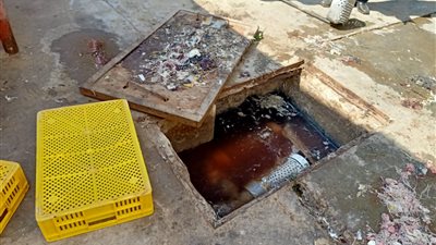 غلق مصنع تعبئة غذائية ومجزر دواجن لوجود خطر داهم على الصحة بالشرقية