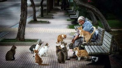 الطالع الفلكي الخَمِيس 20/2/2020..أعمَال الخير!