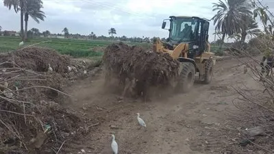 رفع 4565 طن قمامة ومخلفات بالفيوم   