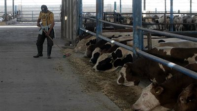 عودة التجارة بين إسرائيل وفلسطين إلى طبيعتها بعد شهور من المقاطعة