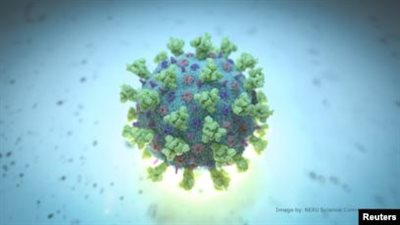 عاجل.. تطور جديد في عدد وفيات 