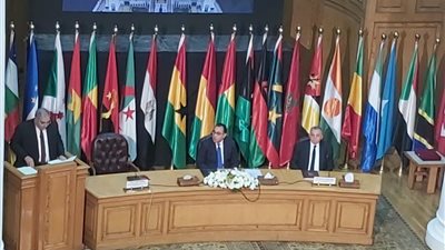  فيلم وثائقي حول دور المحكمة الدستورية في تطوير القضاء المصري والإقليمي