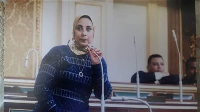 سؤال برلماني عن أسباب تراجع الطلب على العمالة المصرية بالخارج