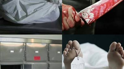 استخدمت السكين.. قصة مقتل شاب على يد خالته بالعياط