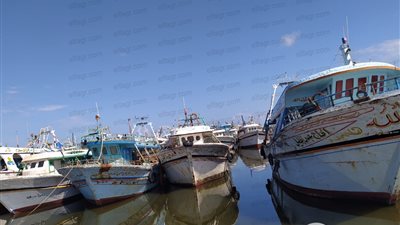 صيادو كفرالشيخ يضربون عن العمل بسبب قانون التأمينات الجديد (فيديو)