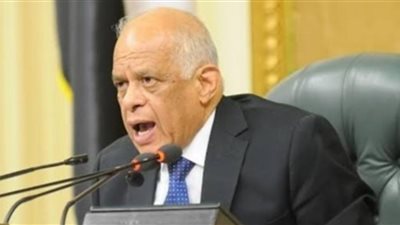 رئيس البرلمان لنائب: عايز تقعد مكان الوزراء ليه؟