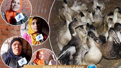 مستفيدات من قرض الـ20 بطة بالبحيرة يروين تجربتهن (فيديو)