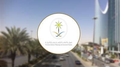 الأرصاد تحذر: عوالق ترابية وتدني في الرؤية 