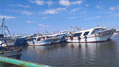 لليوم السادس على التوالي.. استمرار إضراب صيادين كفر الشيخ