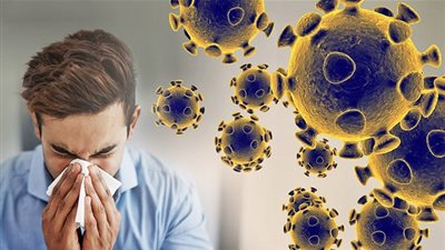 الإمارات.. مجلس الإفتاء يشيد بقرار السعودية بتعليق رحلات العمرة لمكافحة 