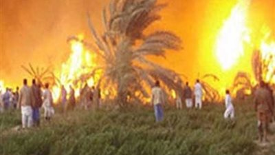 حريق يلتهم 38 قيراط قصب سكر جنوب الأقصر 