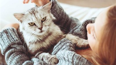 نصائح وتحذيرات لمربي الحيوانات الأليفة