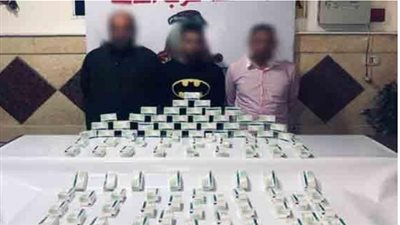 ضبط تشكيلين عصابيين لإتجارهما في المخدرات بالبحيرة