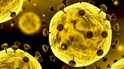 مدير الحجر الصحي يكشف عدد الحالات المصابة بـ 