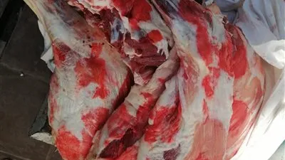 ضبط ذبائح مذبوحة خارج السلخانة في حملة للطب البيطري بالغردقة (صور)