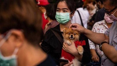 هونج كونج تسجل أول انتقال 