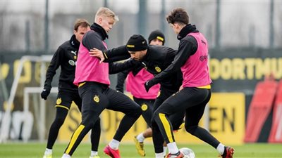 قرار جديد من إدارة دورتموند بسبب كورونا