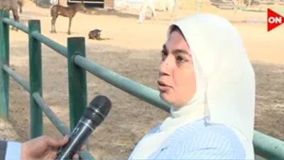 محطة الزهراء لتربية الخيول: العالم يلجأ لنا لتحسين الصفات الوراثية