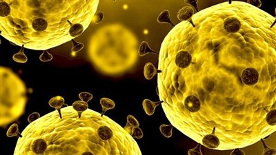 وزير الصحة الأسبق يفجر مفاجأة عن فيروس كورونا المنتشر (فيديو)