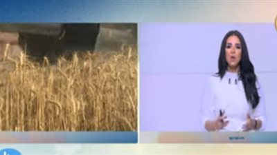 الزراعة: لجان مرورية على 3.4 مليون فدان قمح لمواجهة التقلبات الجوية