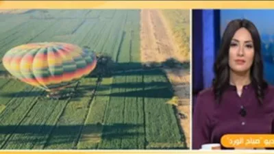 رئيس لجنة السياحة بالصعيد: أكثر من 40 رحلة بالون يوميا في الأقصر