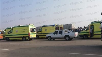 ارتفاع مصابي حادث البحيرة لـ13 حالة (فيديو)