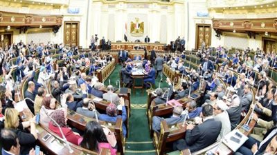 تأجيل اجتماع لجنة الصحة بالبرلمان بسبب سفر هالة زايد للأقصر