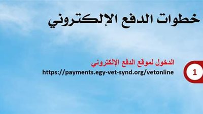 6 خطوات لدفع الاشتراك واستخدام خدمات 