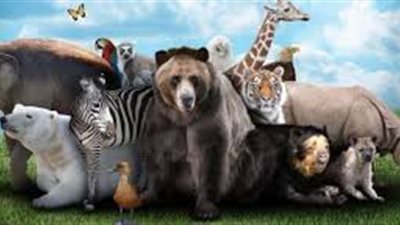 تعرف على أبرز الحيوانات المهددة بالانقراض في العالم