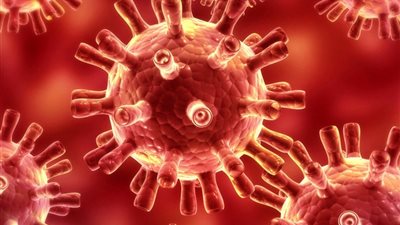 الصحة الإماراتية تسجل 14 حالة إصابة جديدة بفيروس كورونا