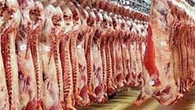 أستاذ طب وقائي يقدم نصيحة مهمة للوقاية من فيروس كورونا