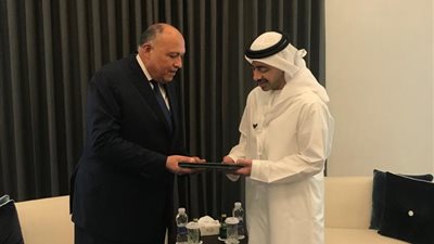 رسالة من السيسي إلى رئيس الإمارات حول مفاوضات سد النهضة 