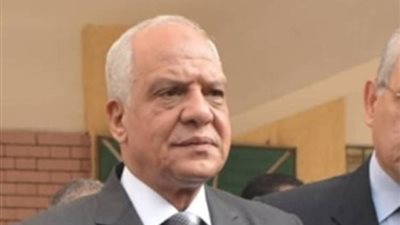 الابتعاد عن اللوحات الإعلانية وعمدان الإنارة.. نصائح محافظة الجيزة للمواطنين