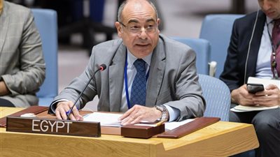 مصر أمام مجلس الأمن: نرفض نشر الإرهابيين الأجانب في ليبيا