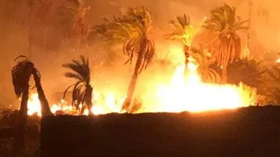 عاجل.. 23 حريقًا بعشرات الأفدنة بسبب الطقس السيئ في قنا